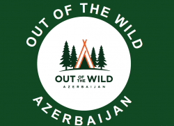 Out of The Wild